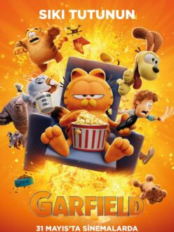 Garfield The Garfield Movie