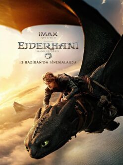 Ejderhanı Nasıl Eğitirsin